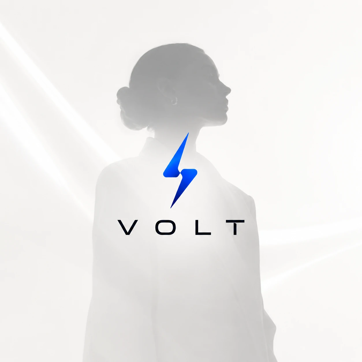 Planche d’identité Volt : logotype et système visuel
